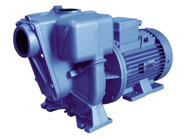 Alpha 0RAC T20